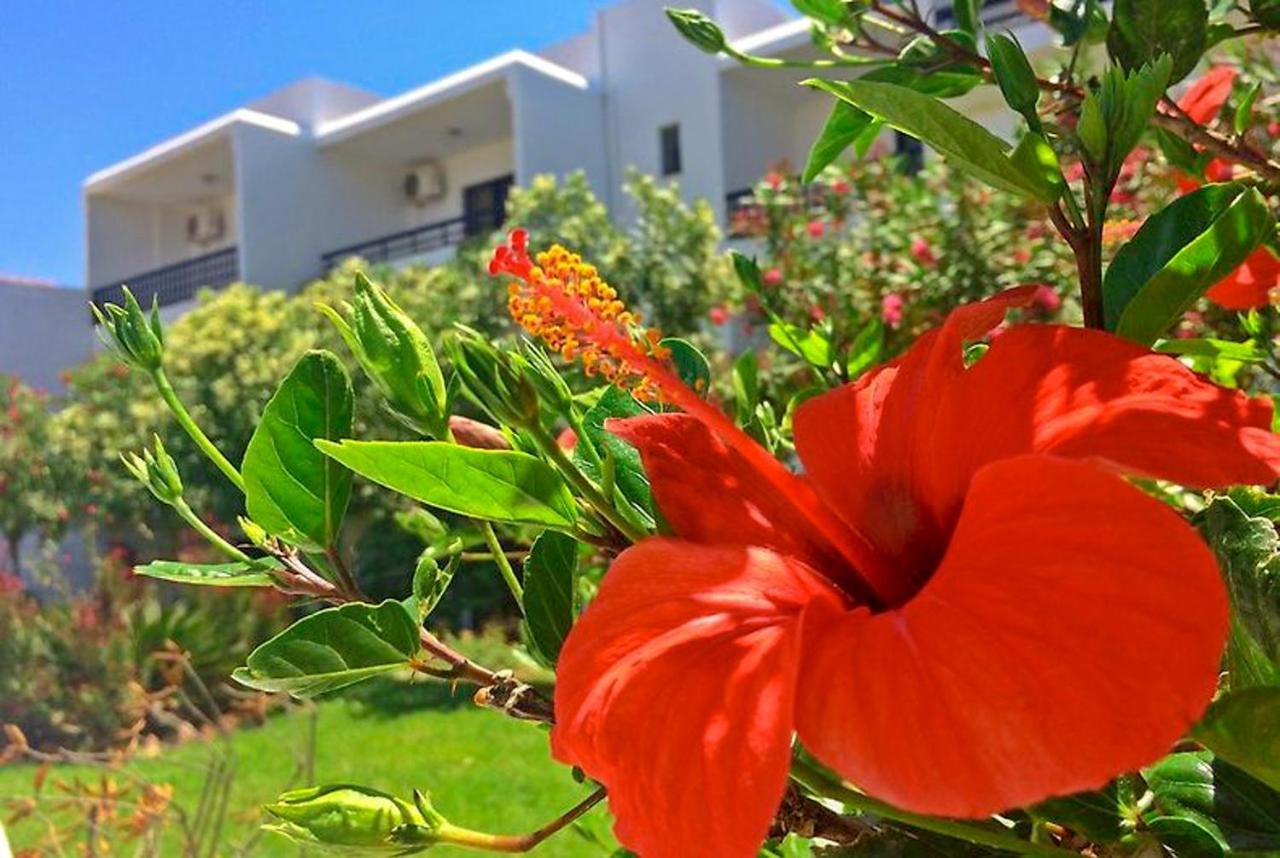 إياليسوس Debbi Appartments And Hotel المظهر الخارجي الصورة